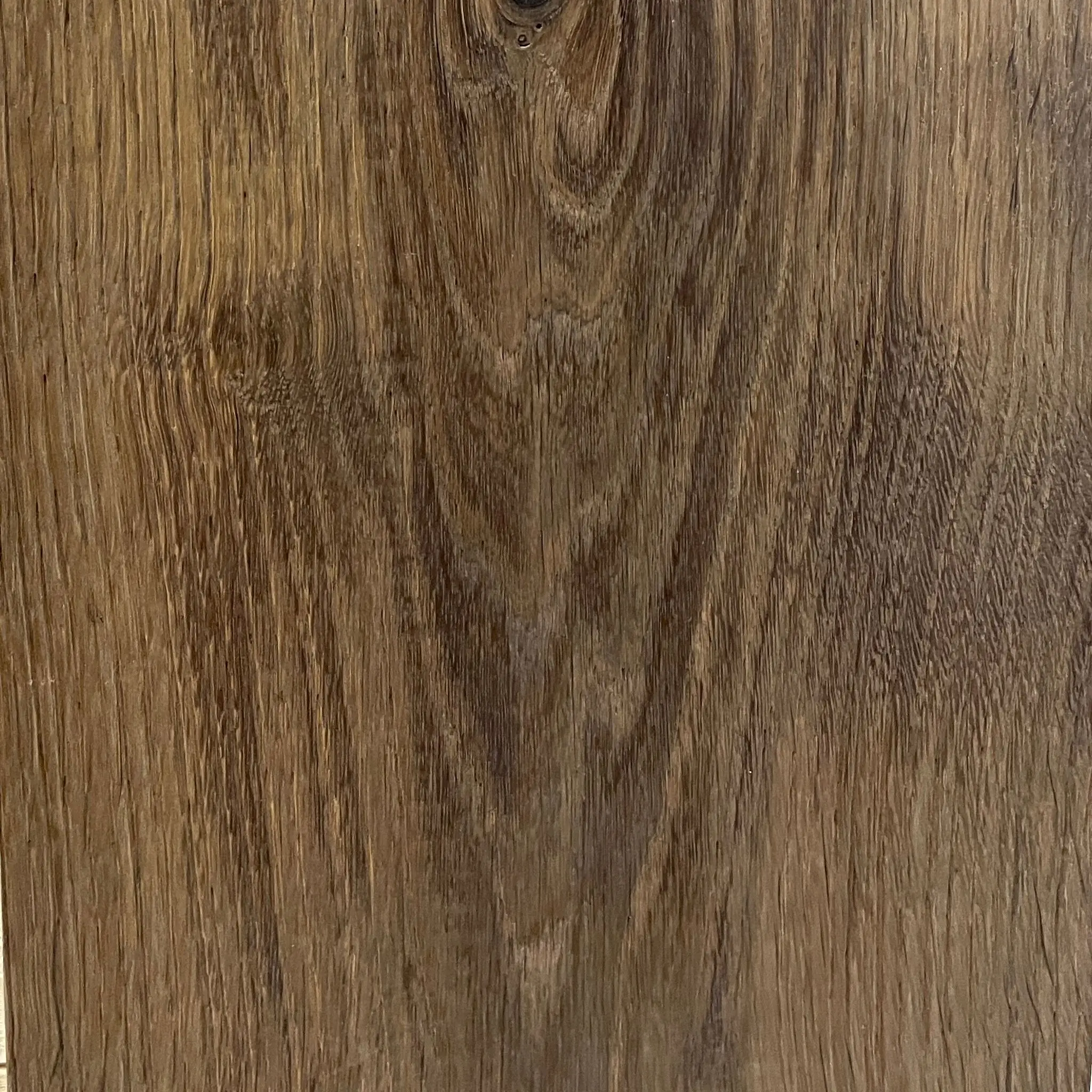 Rovere Jumbo Gibilterra