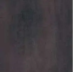 3886.jpg