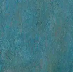 481.jpg