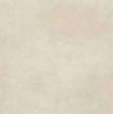 882.jpg