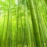 Materasso Tempo Bamboo singolo 80 cm, Memory 4,5 cm, 700 molle, a 9 zone.