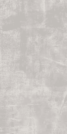 Gress Porcellanato Smaltato Grey 10x600x1200mm