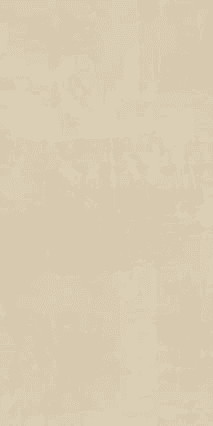 Gress Porcellanato Smaltato Beige 95x300x600mm