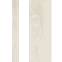 Gress Porcellanato Rettificato 10x150x1210mm Colorato in massa