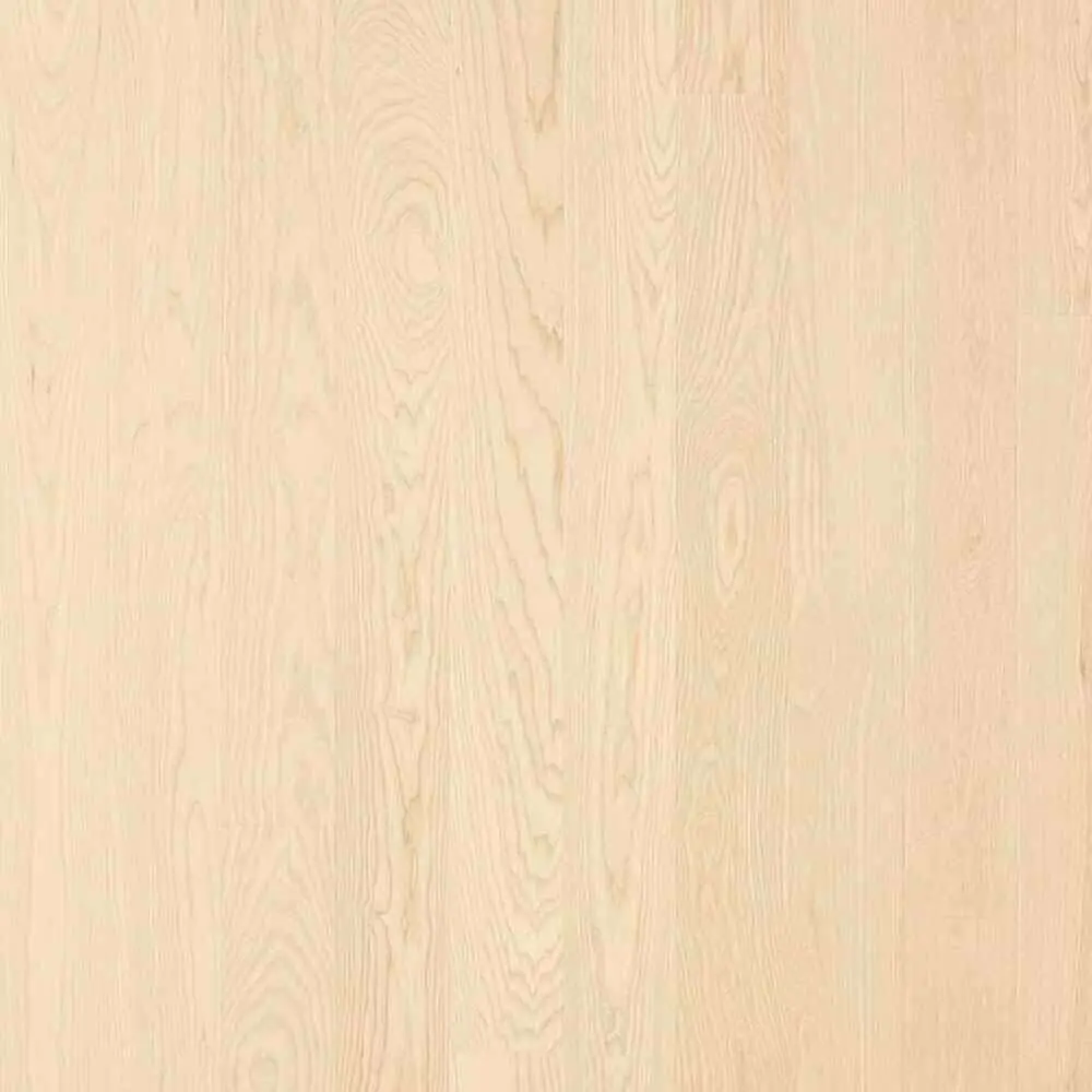 frassino20120strip20satin20lacquer.jpg