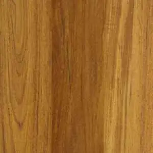 Parquet Legno Prefinito, New Teak Asia, Massello Plancia Unica, 17x117x300/1200 mm, Selezione: Select
