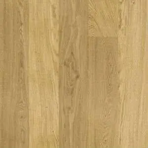 rovere20120strip20ambientazione39.jpg