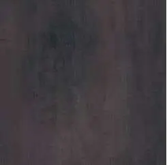 3664.jpg