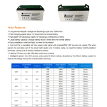 GEL Battery