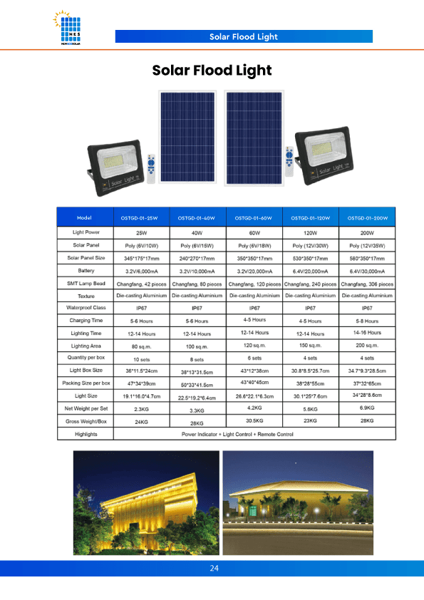 Soler Flood Light