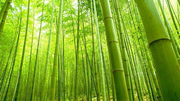 Materasso Hypnos Bamboo una Piazza e mezzo 120 cm, Memory 5 cm, 9 zone portanza differenziata.