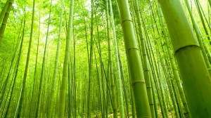 Materasso Tempo Bamboo singolo 80 cm, Memory 4,5 cm, 700 molle, a 9 zone.