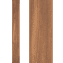 Gress Porcellanato Rettificato 10x150x1210mm Colorato in massa