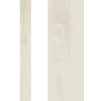 Gress Porcellanato Rettificato 10x150x1210mm Colorato in massa