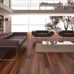 Noce Africano – Stock: 15,420 – Offerta: € 615,26