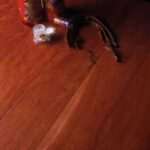 PARQUET MASSELLO PREFINITO – KEMPASS