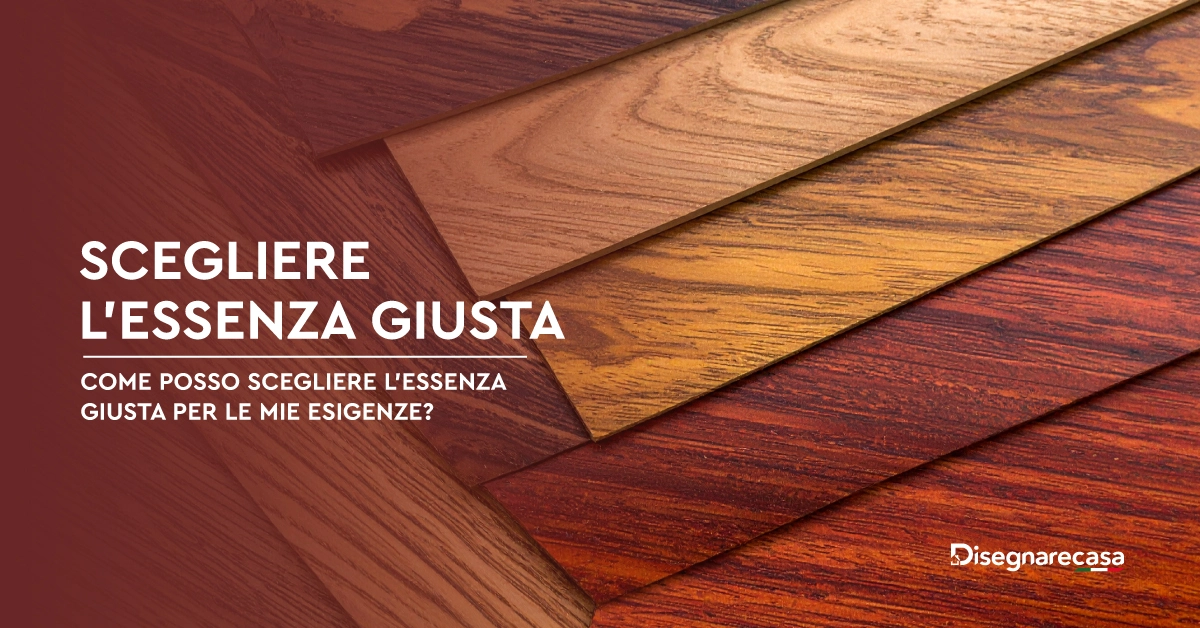 Amelie Consiglio dei ministri MG1504